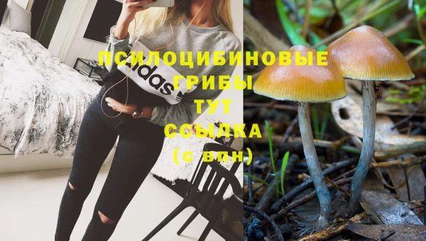 трава Арсеньев